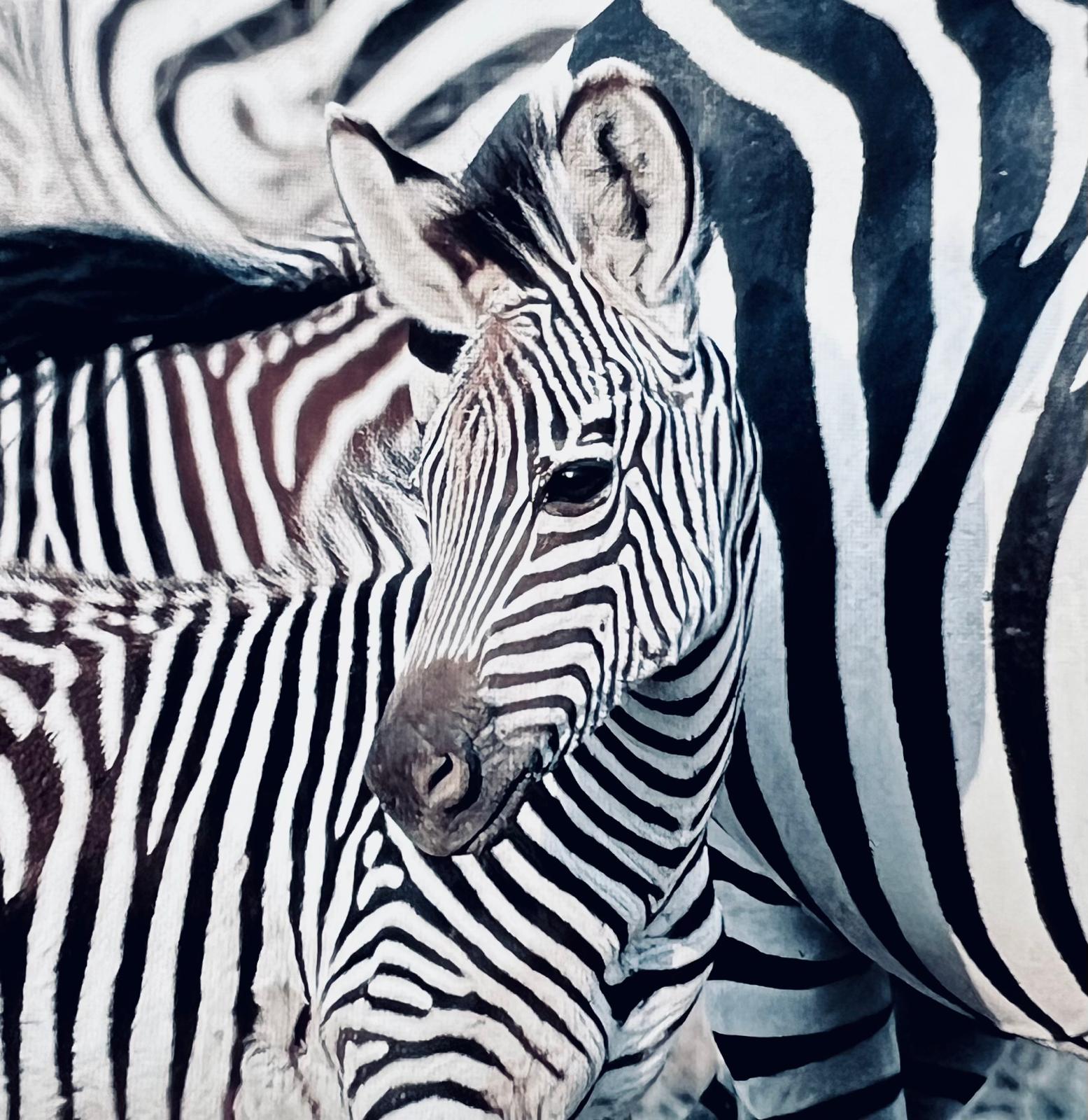 Wildlife 14