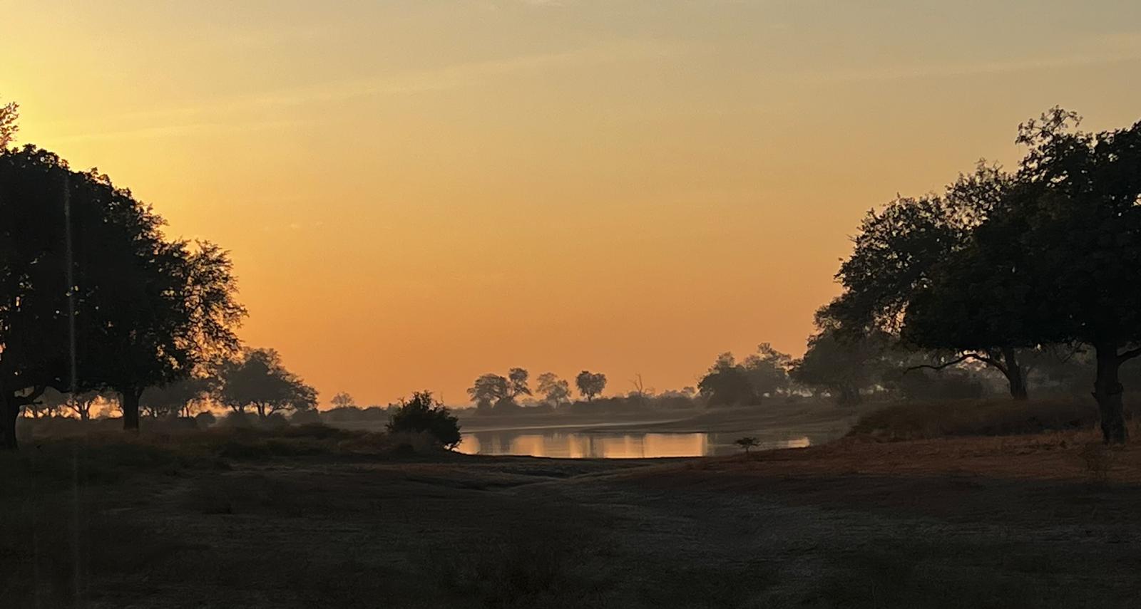 Morning Safari Drive at Zikomo Safari