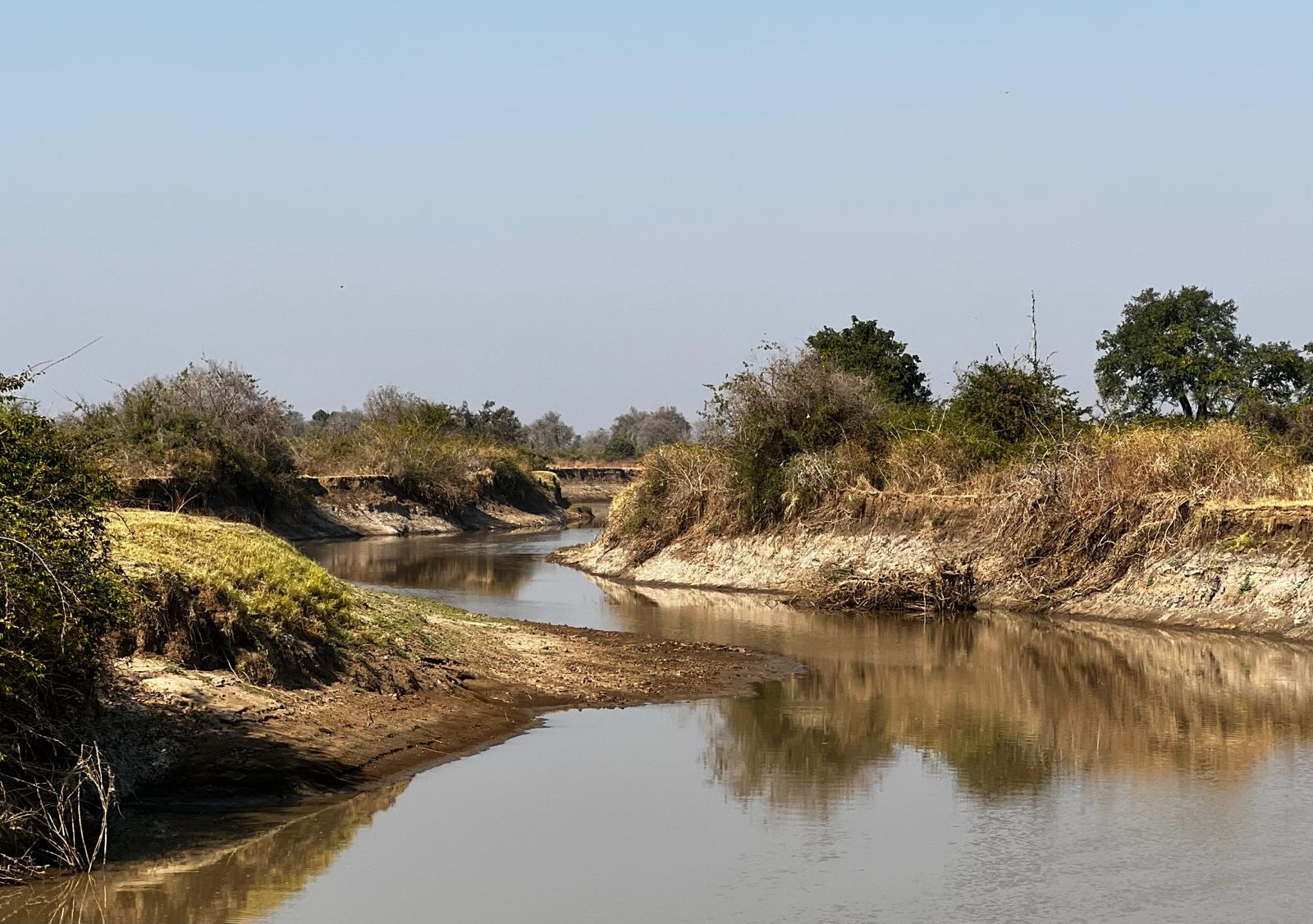Wildlife viewing by the river