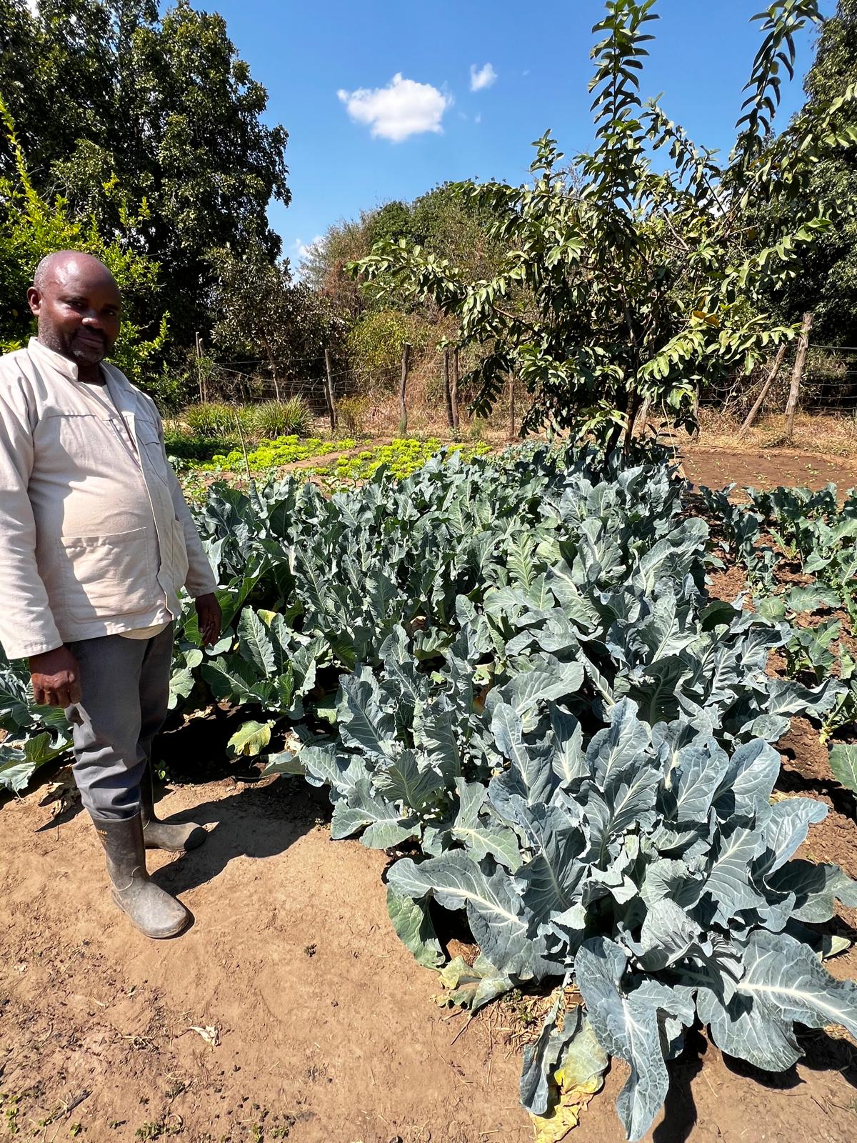 Garden to table experience